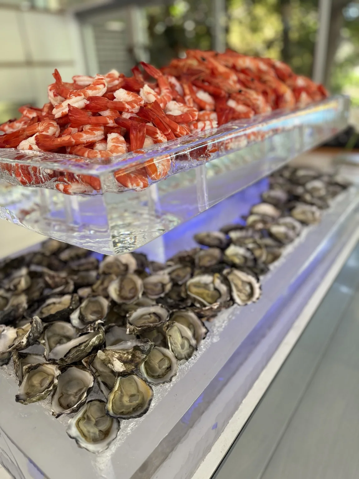 Fresh seafood and oysters at a catered event